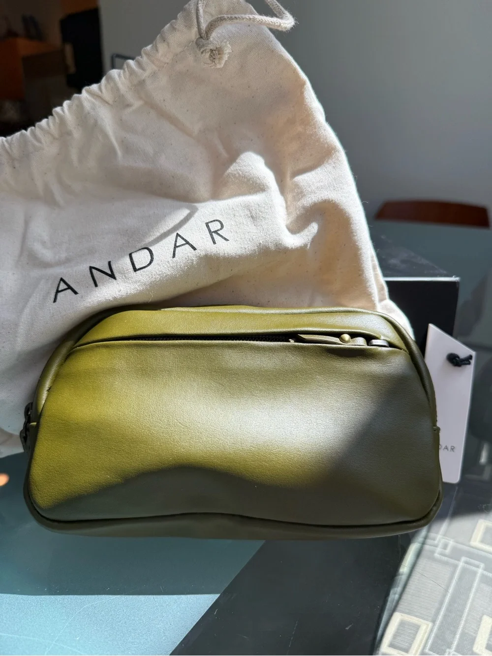 Andar: Saguaro Leather Crossbody Belt Bag